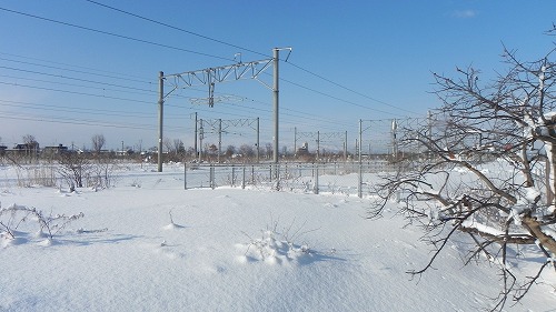 DSCN9639.jpg