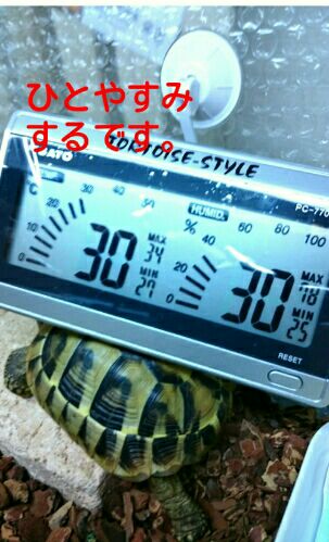 rblog-20151121205433-03.jpg