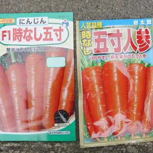 P1030211.JPG