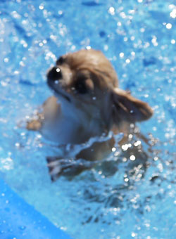 20120826ゴールドb