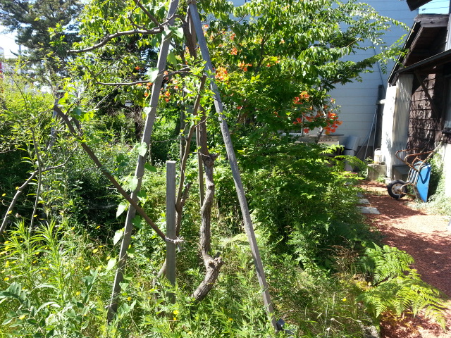 20160724_090043.jpg