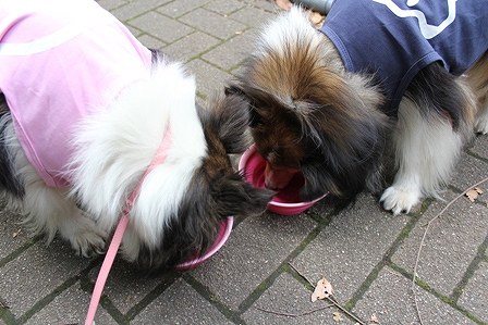 IMG_0046.jpg