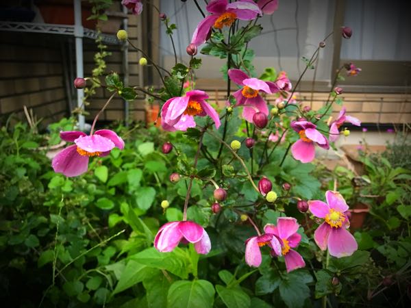 rblog-20170926173842-09.jpg