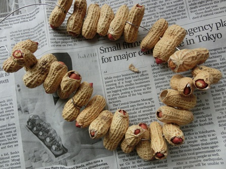 ピーナッツリース