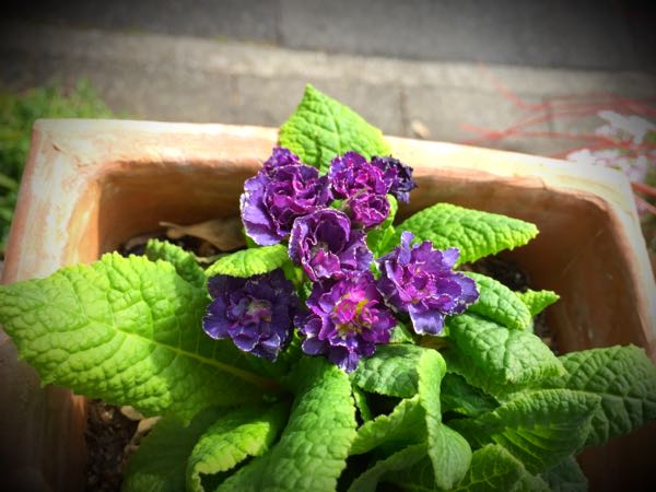 rblog-20150430203756-04.jpg