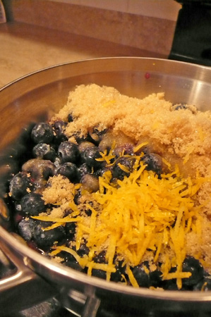 blueberries 03.jpg