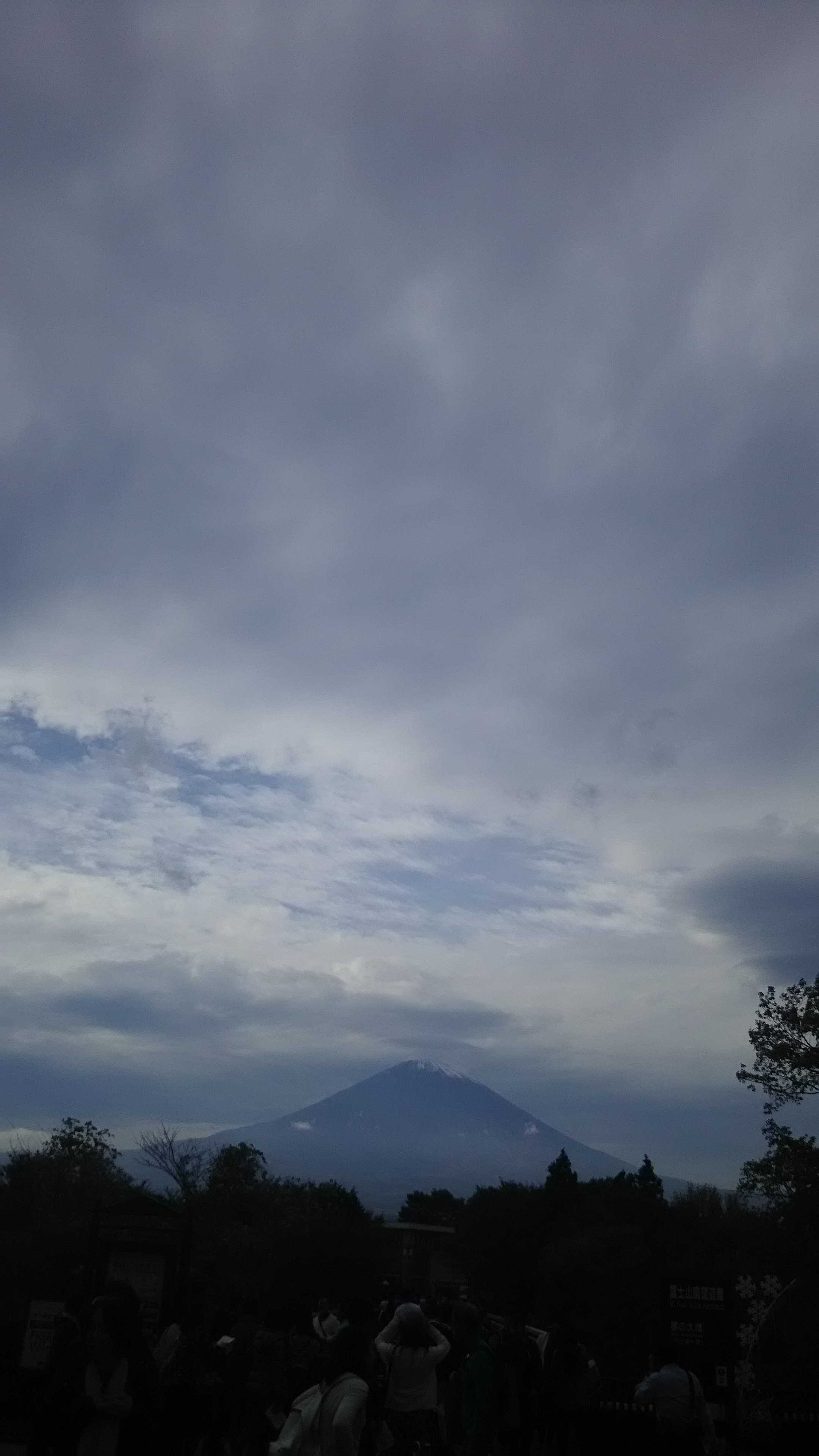いつか笑える日まで～幸せになりました～
