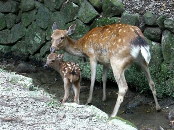 画像はイメージです