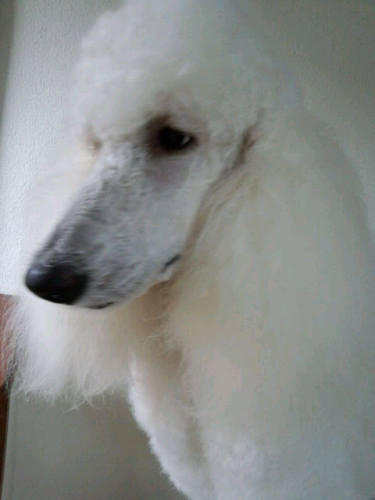 rblog-20131015171906-02.png