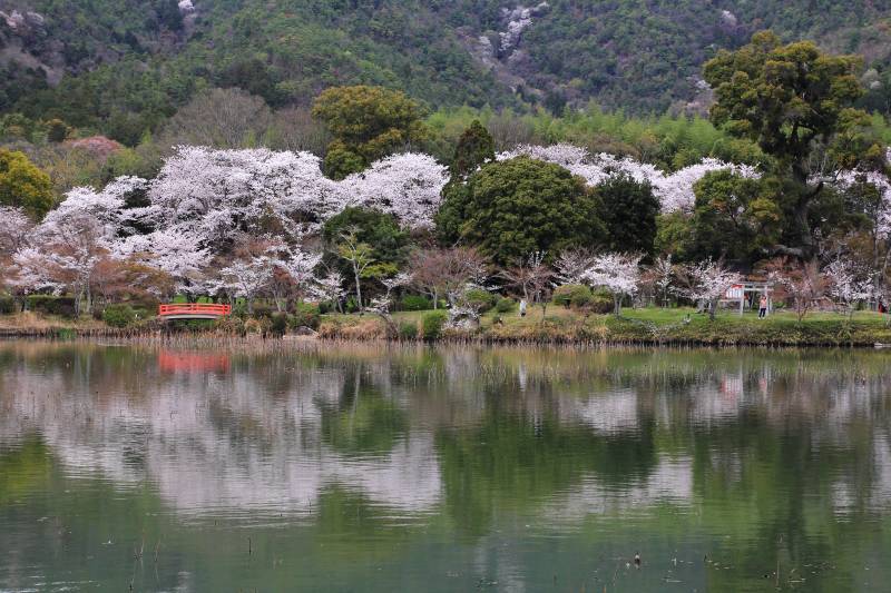 大沢池_001.jpg