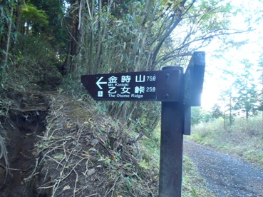 kinntoki2
