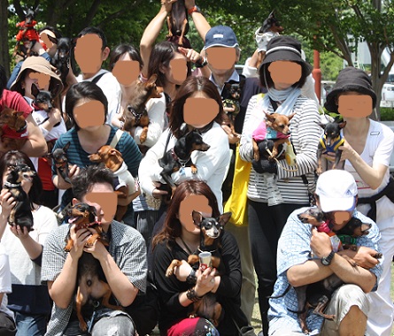 集合1.jpg