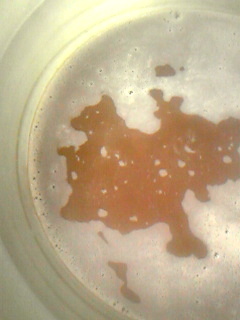 120406_185014.jpg