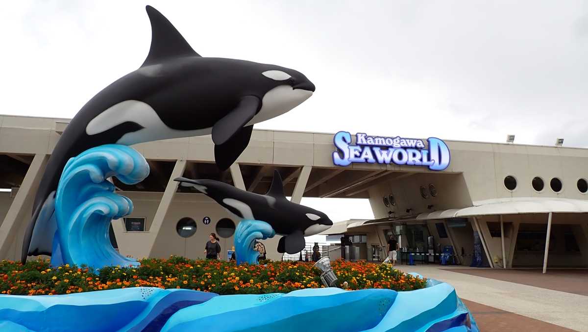 22 9 1 2 小湊温泉と鴨川シーワールドに行ってきた シーワールド ボケないための日記のようなモノ 楽天ブログ