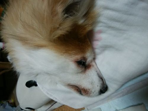 rblog-20180407233555-01.jpg