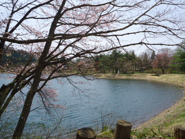 DSC01038.JPG