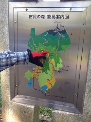 IMG_0917.jpg