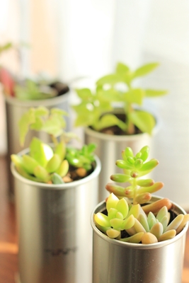 20130119-6.JPG