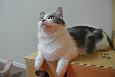 mumu1211.jpg