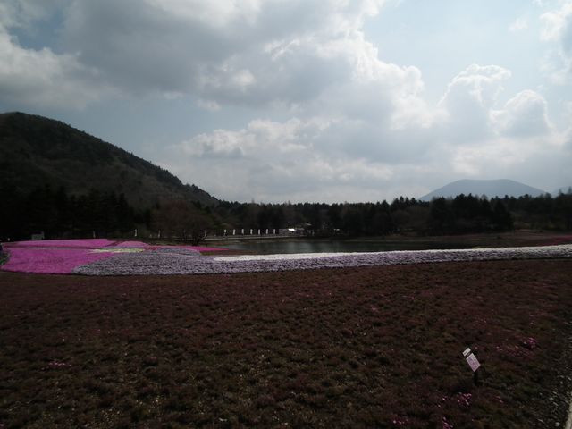 DSCF3781.JPG