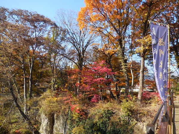 DSCN9326.jpg