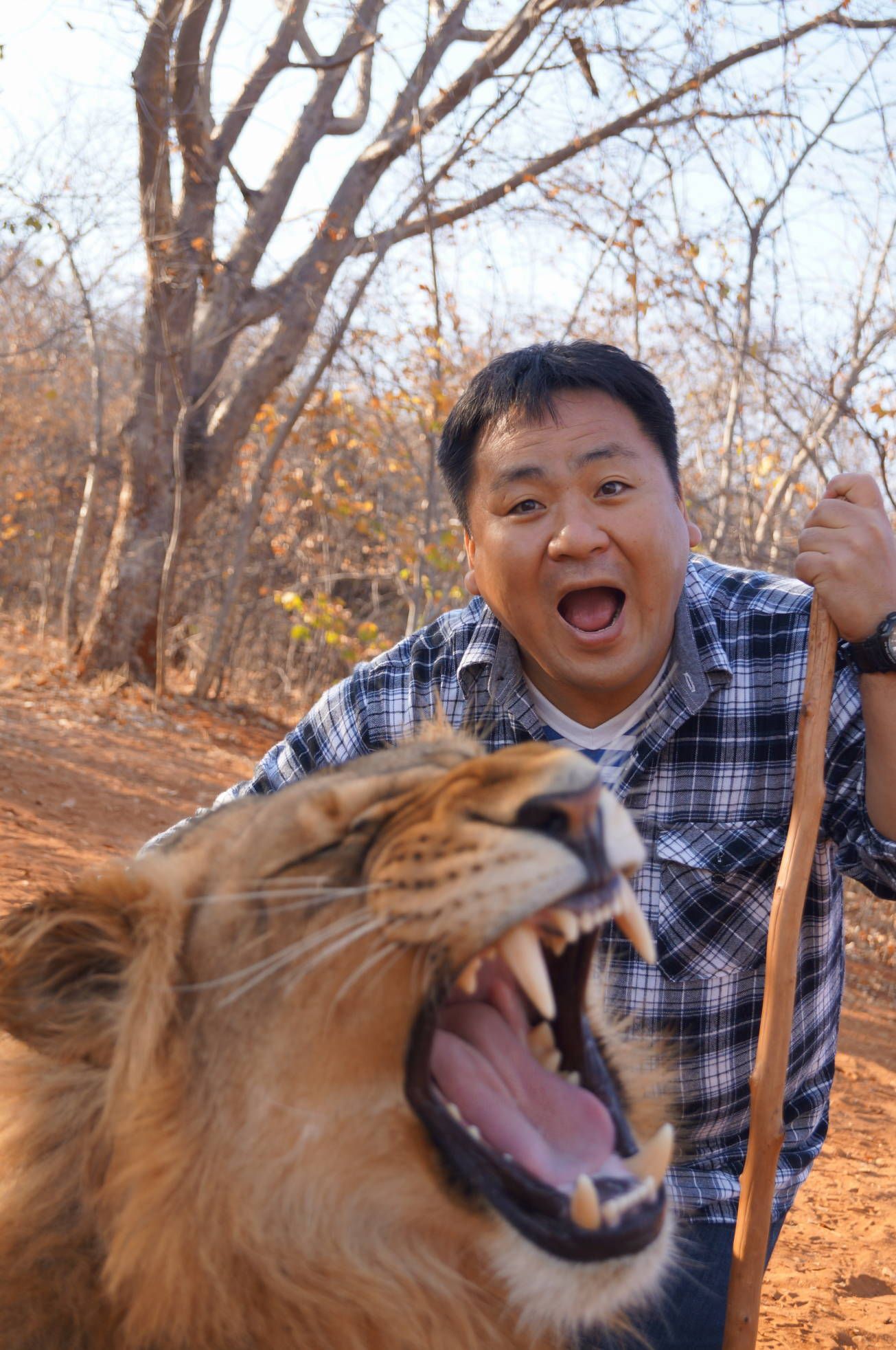 南アフリカ旅行記 Mukuni Big Five で ライオン とお散歩 ゴンタくんの旅行記 世界は広いぞ 美味しいぞ 楽天ブログ