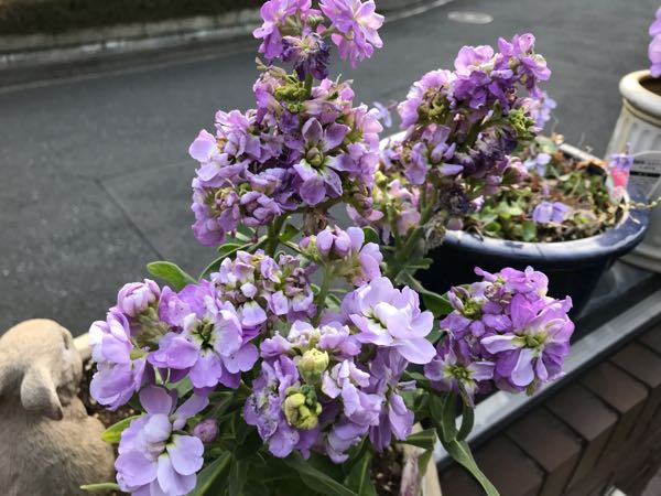 rblog-20190324174434-09.jpg