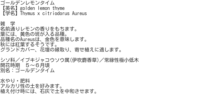 Thymus90