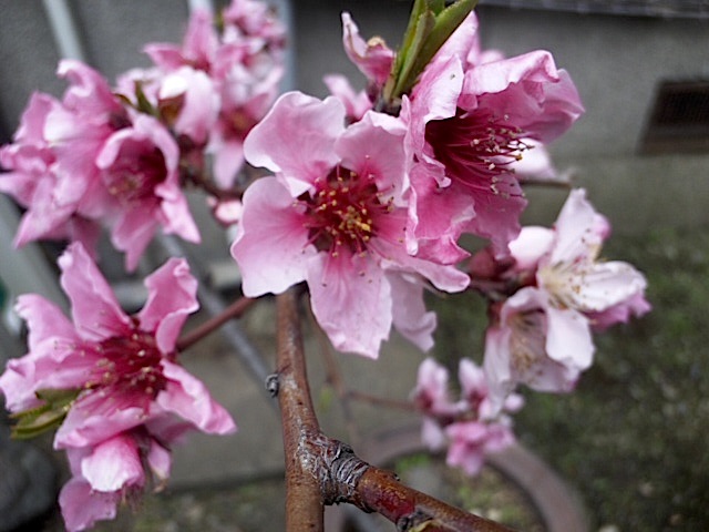 120407_131147.jpg