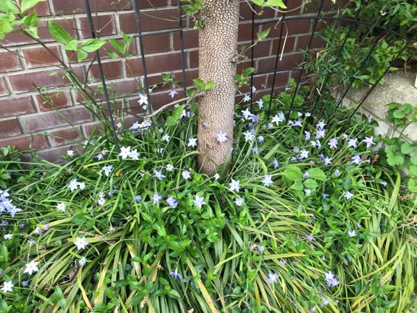 rblog-20190423182339-01.jpg