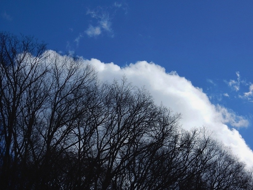 空5.JPG
