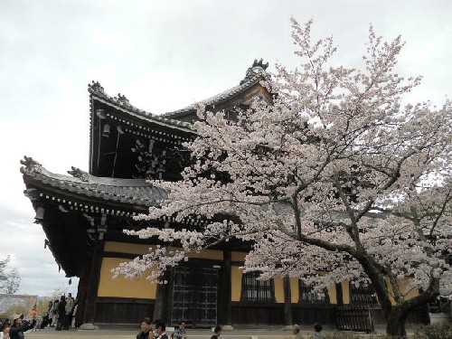 南禅寺法堂