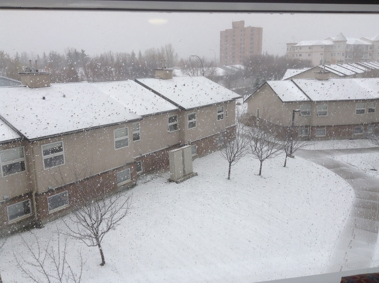 First Snow20131027.jpg