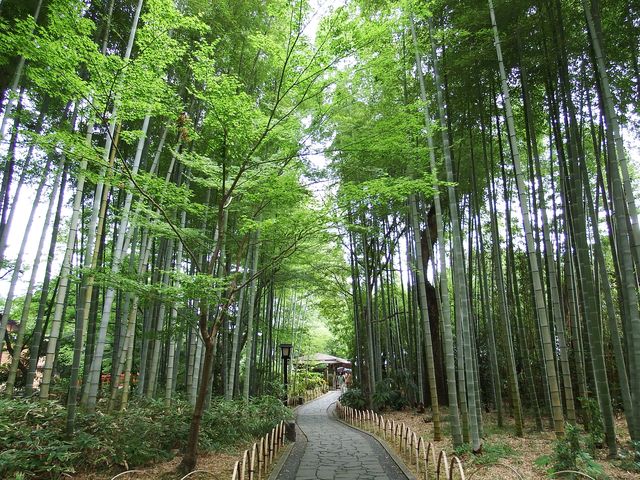 DSCF1798.JPG