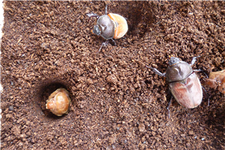 P1040326.png