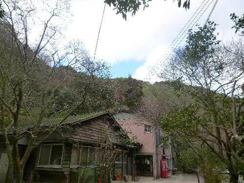 P1140891(1).JPG