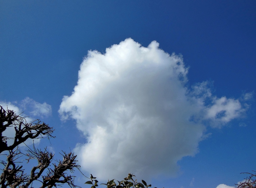 空6.JPG