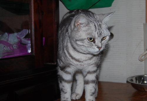 DSC_0034.JPG