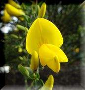 DSC00864.JPG