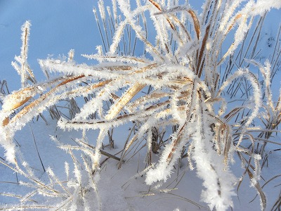 DSCN7615.jpg