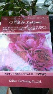2013120114580000.jpg