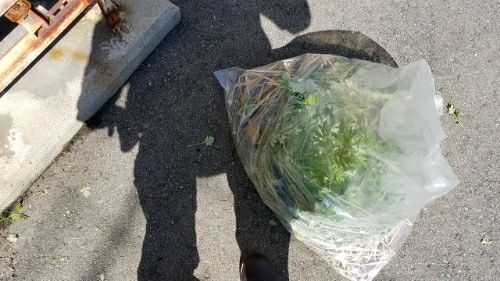 rblog-20180520230612-07.jpg