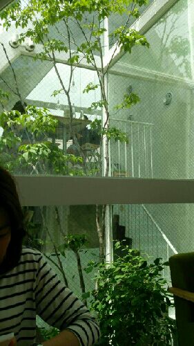 rblog-20150529153654-01.jpg