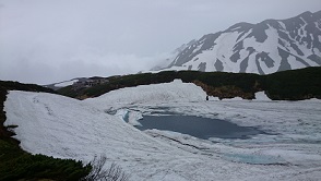 DSC_0333.JPG