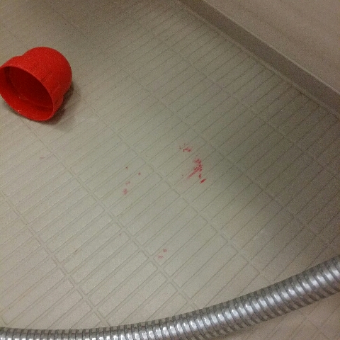 20140911_100755_resize_20140911_131007.jpg