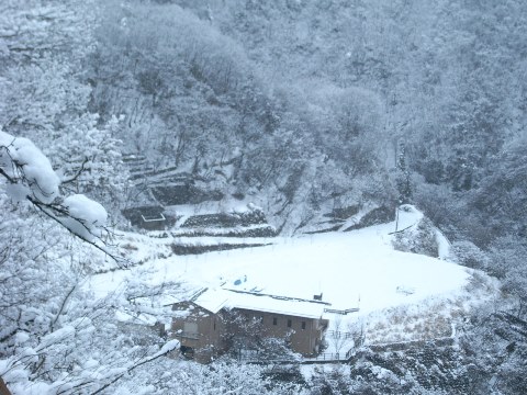 R1020069.JPG