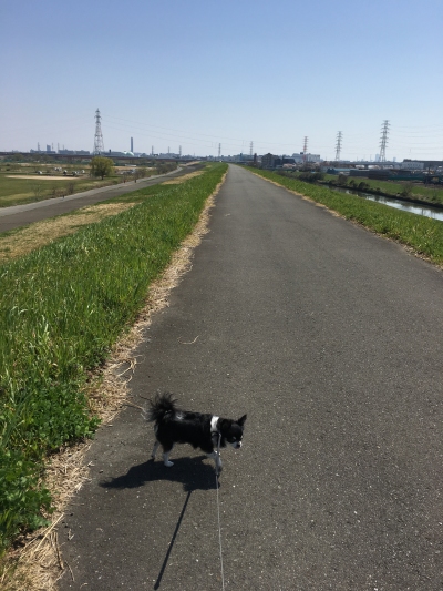 180325お散歩日和