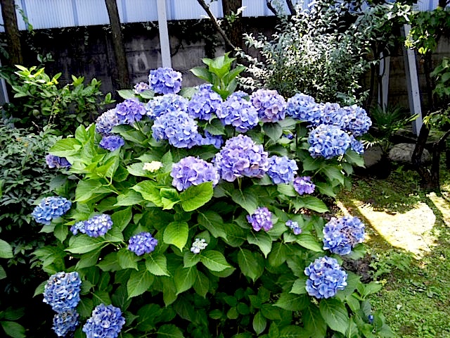 120630_131833.jpg