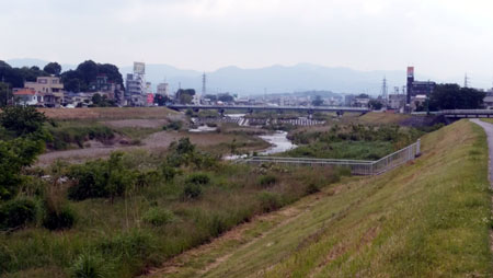 DSC_0057aa.jpg
