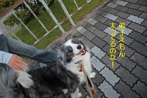 たのしい
